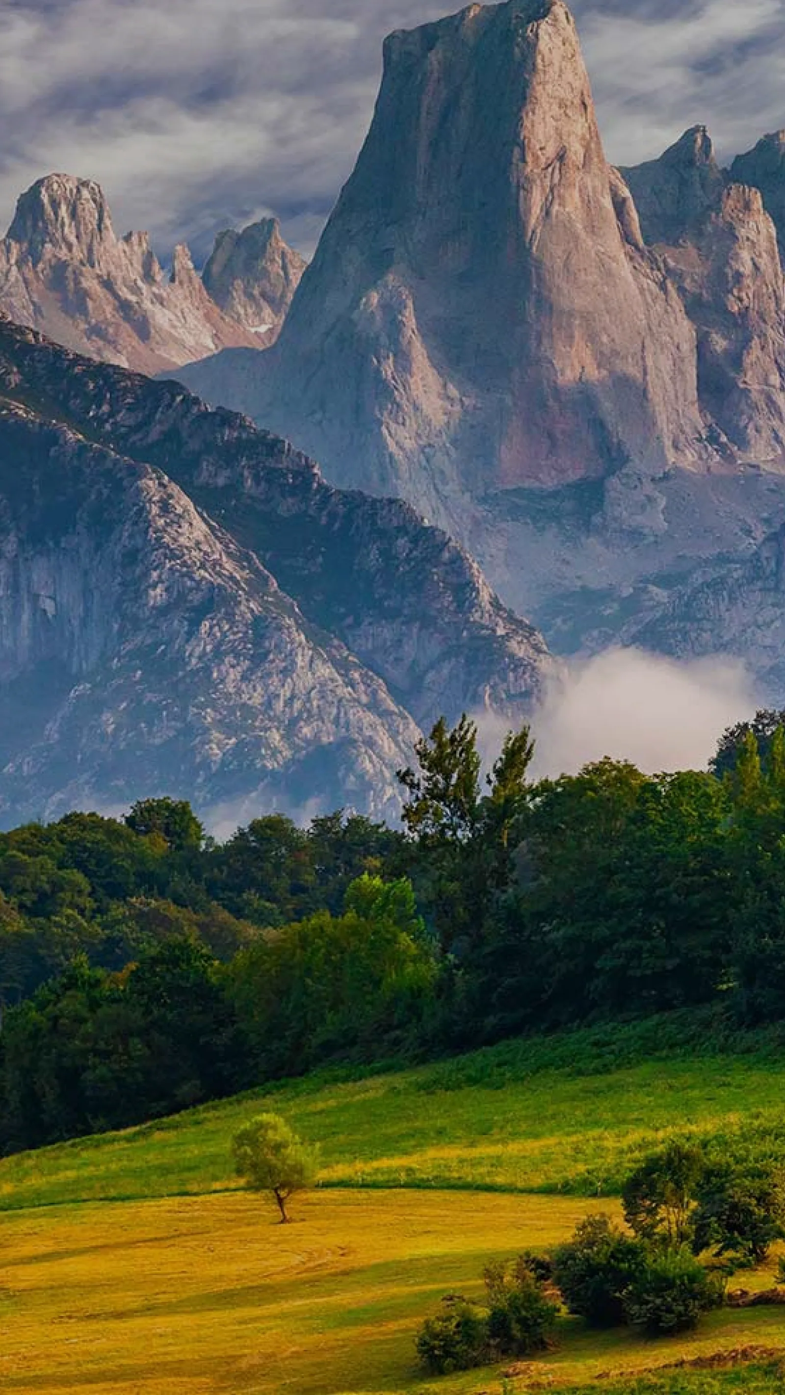 Picos de Europa