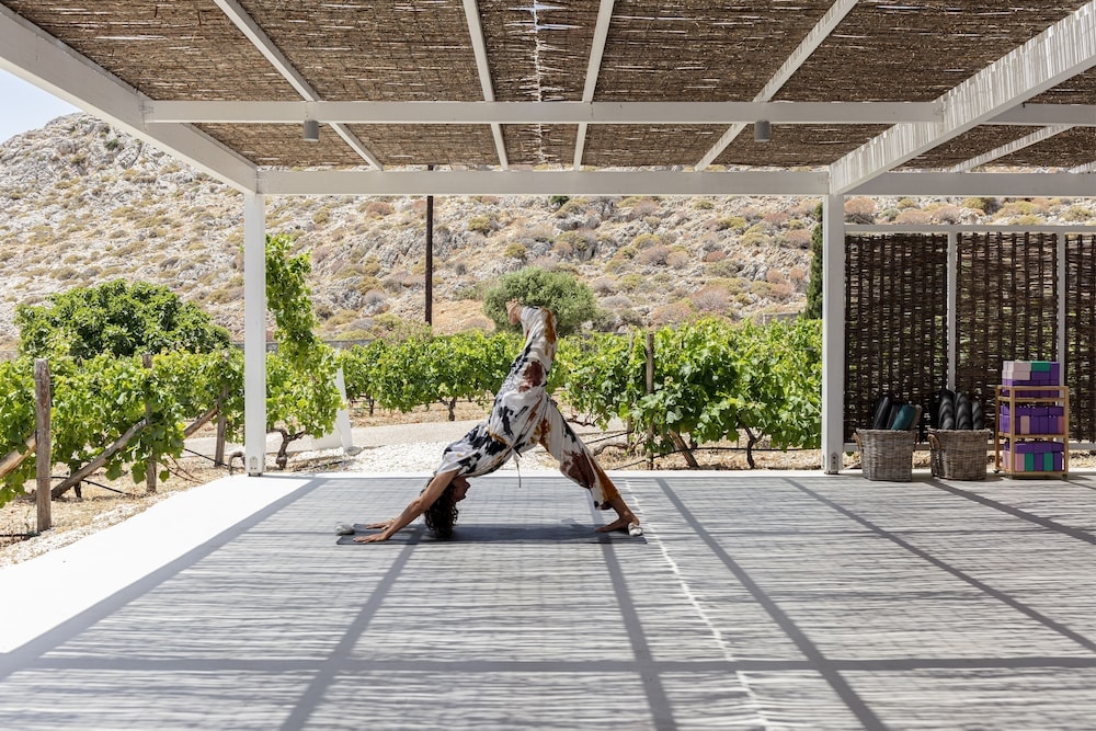 ANEMI Folegandros
